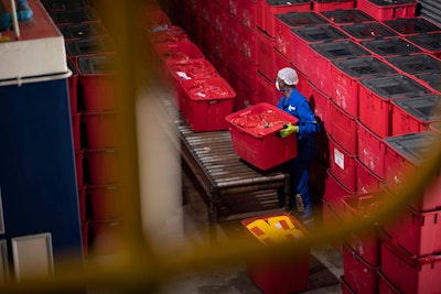 Medical waste treatment Killarney Gardens SA 2019 1